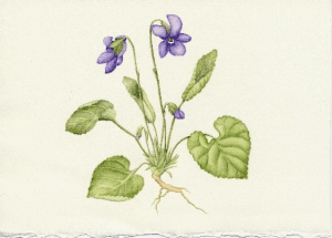 2026 3 Debons Workshop Announcement page0 image