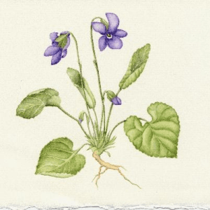 2026 3 Debons Workshop Announcement page0 image