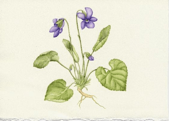 2026 3 Debons Workshop Announcement page0 image