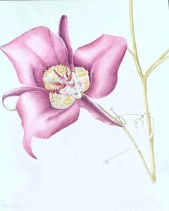 botinicalwatercolor1 1296x