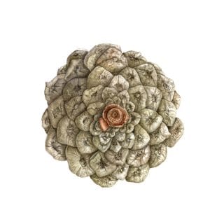 Cone Bottom