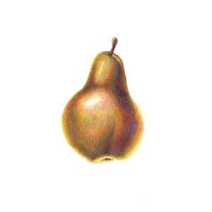 Pear